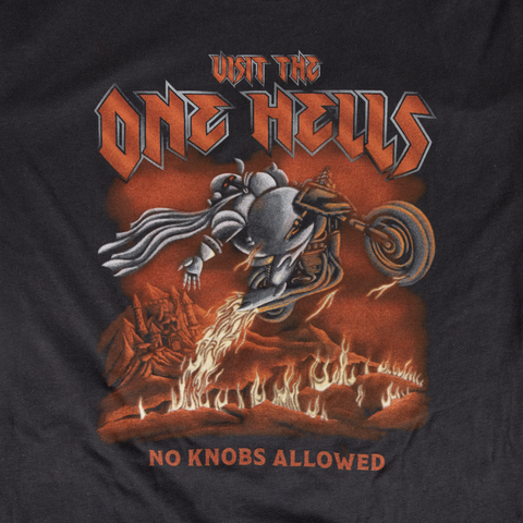 Closeup of graphic of motor cycle going through flames with text "VISIT THE ONE HELLS NO KNOBS ALLOWED"