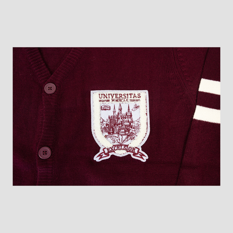closeup of patch on maroon cardigan with image of castle and text "UNIVERSITAS MAGICAE EXCELSIOR"
